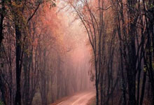 多库晒过阿诺德&索博照片：结果并不理想，但我们会继续一起努力.