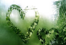 球王会：国王vs爵士比预测 02月27日NBA.